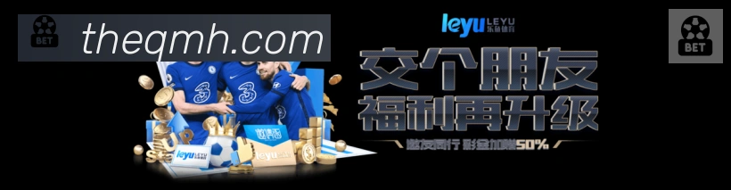 未来规划